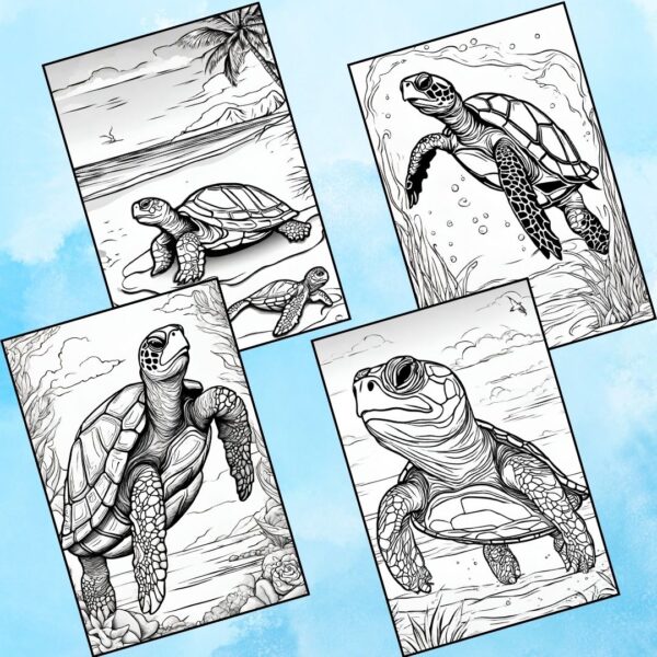 Turtle Colouring Pages to Print