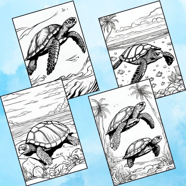 Turtle Colouring Pages to Print