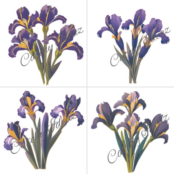 Fun and Creative Iris Flower Clipart Designs