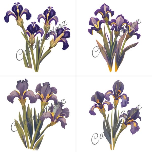 Fun and Creative Iris Flower Clipart Designs