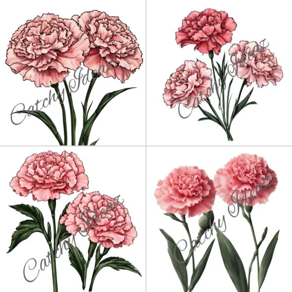 Stunning Carnation Flower Clipart Designs