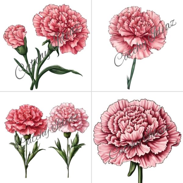 Stunning Carnation Flower Clipart Designs