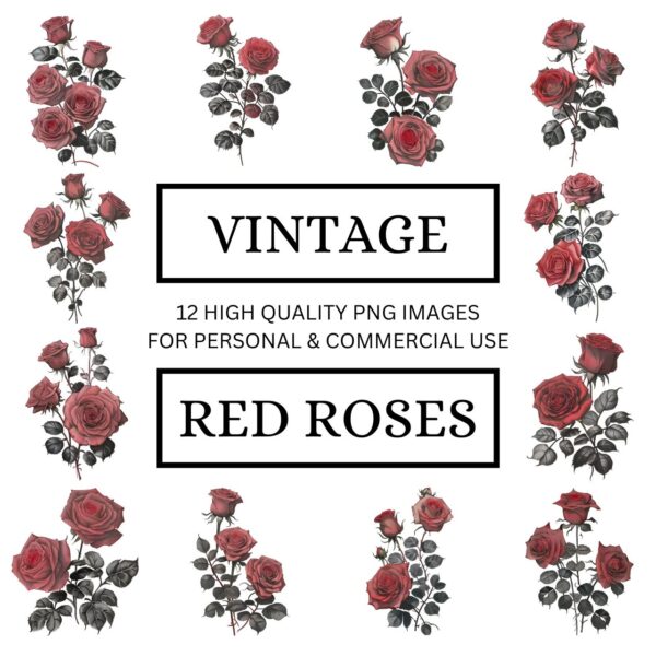 Vintage Red Rose Clipart Designs