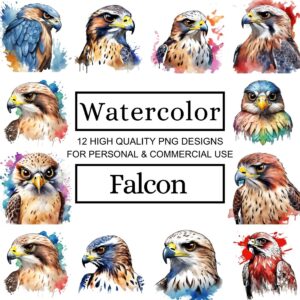 Watercolor Falcon Clipart Designs