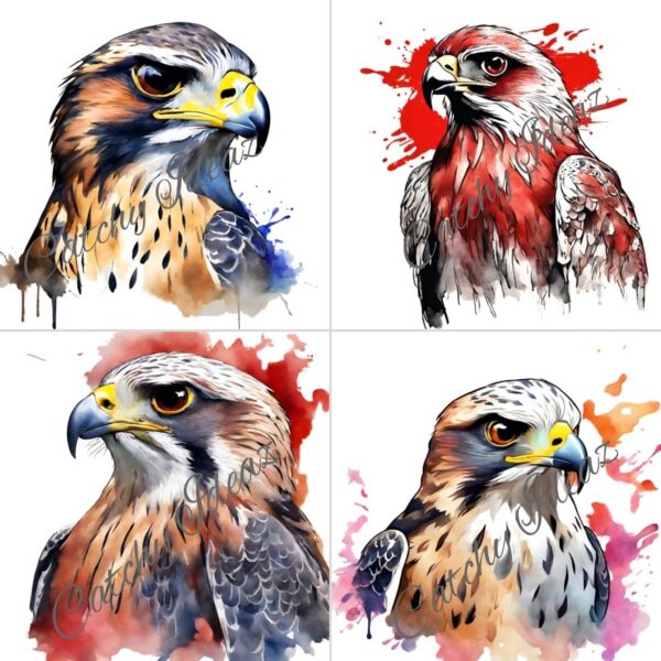 Watercolor Falcon Clipart Designs