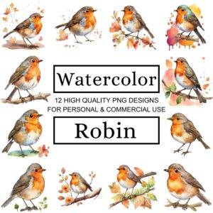 Watercolor Robin Clipart