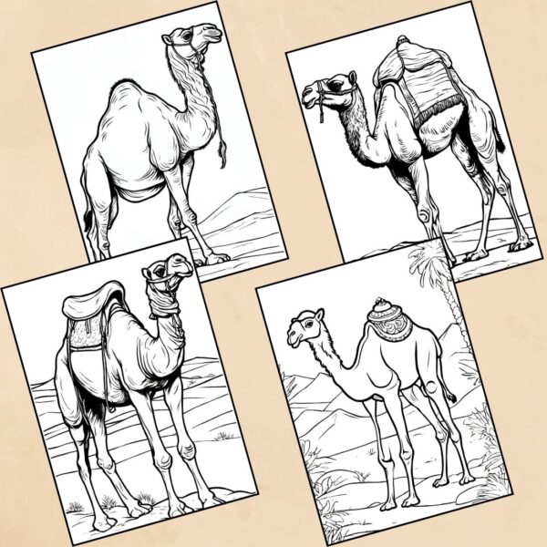 Hump-tastic Camel Coloring Pages