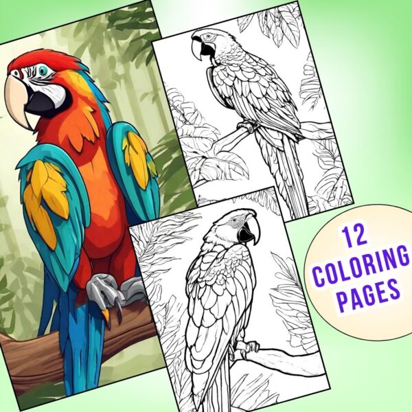 Macaw Parrot Coloring Pages