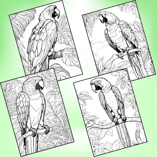 Macaw Parrot Coloring Pages
