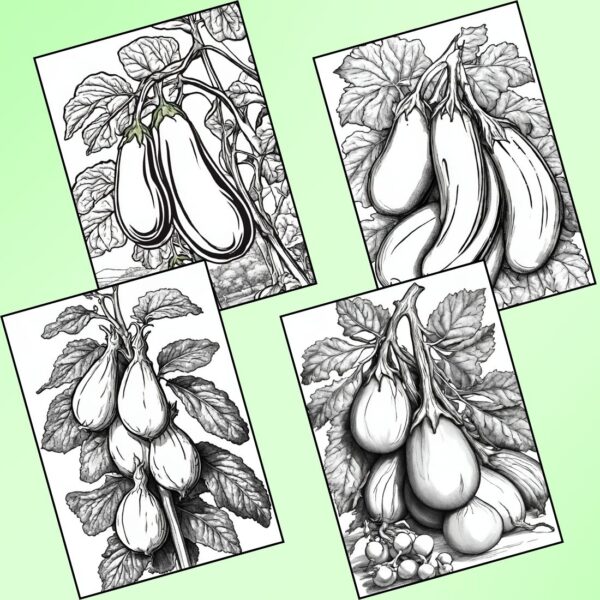 Brinjal Coloring Pages