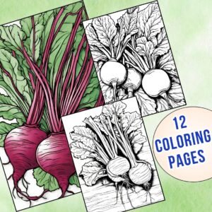 Beetroot Coloring Pages