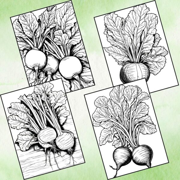Beetroot Coloring Pages