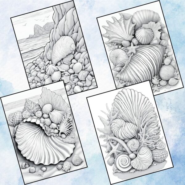 Enchanting Seashell Coloring Pages