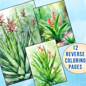 Aloe Vera Plant Reverse Coloring Pages