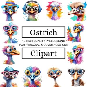 Funny Ostrich Clipart