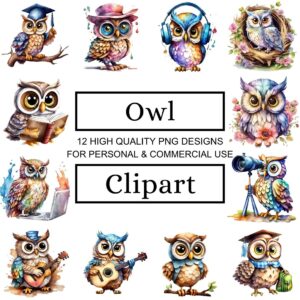 Funny Owl Clipart