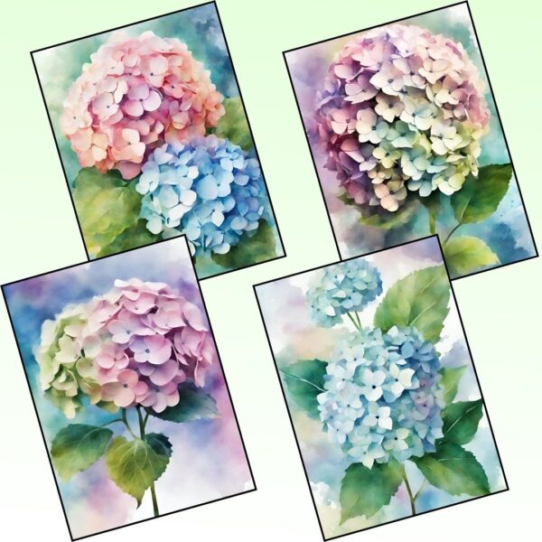Hydrangea Flower Reverse Coloring Pages